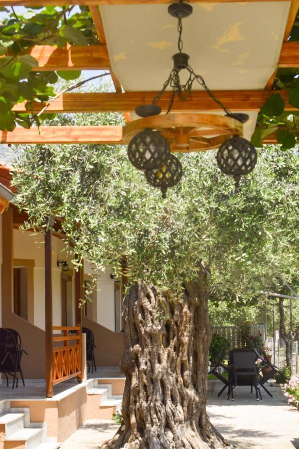 Kapsogeorgis Rooms كوينيرا المظهر الخارجي الصورة